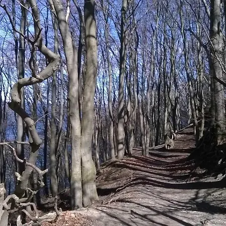 شقة Haus Glowe - 11 - 300 M Zum